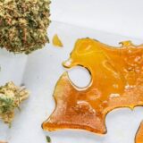 Cannabinoid-rich cannabis buds and cannabis concentrate