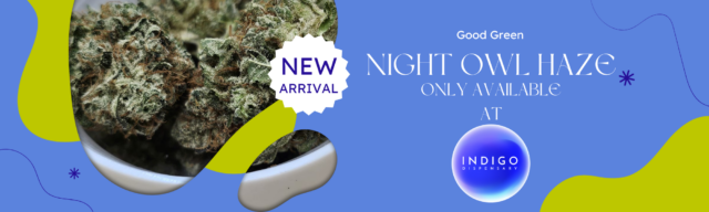 night owl haze exclusive