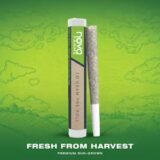 Nova Prerolls https://www.indigodispensary.com/wp-content/uploads/2025/03/Nova-Prerolls-160x160.jpg